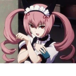 duowalk maids