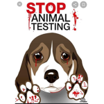 Stop testing animals!