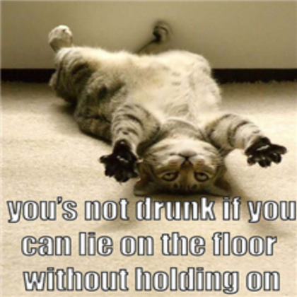 Sober Cat Roblox decal