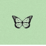 Petit fleur <3