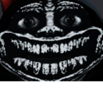 Team_Brollge