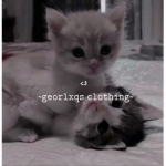 -Georlxqs clothing- <3