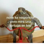 save the turtles.