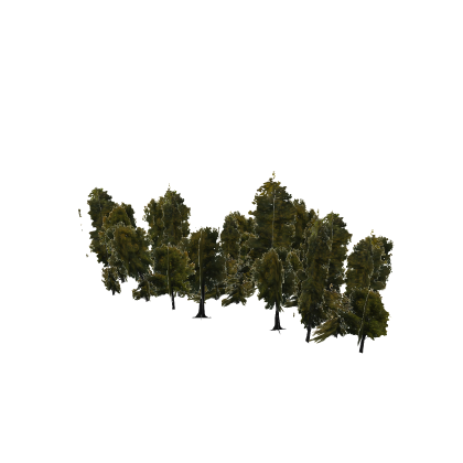 group of trees