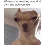 The_4_M’s