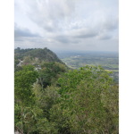 sceneryguy