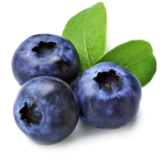 Blueberry Gang