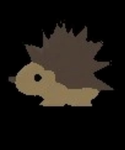 #cyndaquil fans