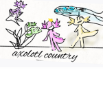 ($ axolotl country $)