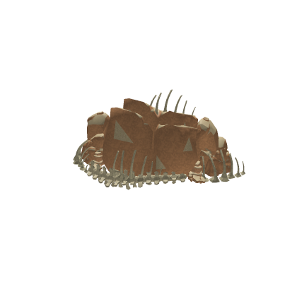 Skull Town montain with fossils