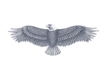 wings99(elite force)
