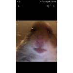 Why ehy
