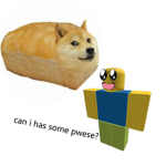 doge bread (ᵔᴥᵔ)