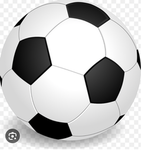 The football fan