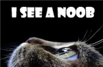 noobs are stupid