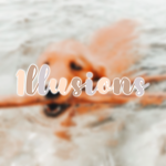 ʚ1LLUSIONSɞ