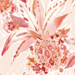 Clair’s clothes