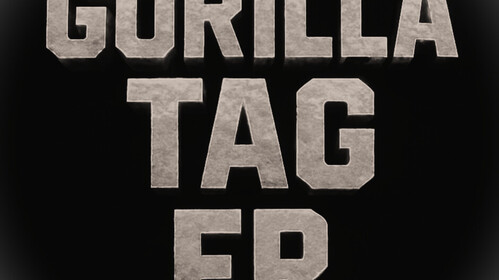 Gorilla tag FR