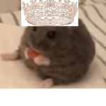 pog group pog