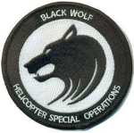 Silent Wolves’