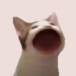 POPCAT REVOLUTION 145lord_popcat