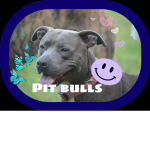 xX|-Pit Bulls-|xX