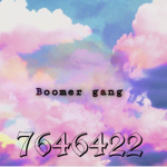 Boomer Gangz