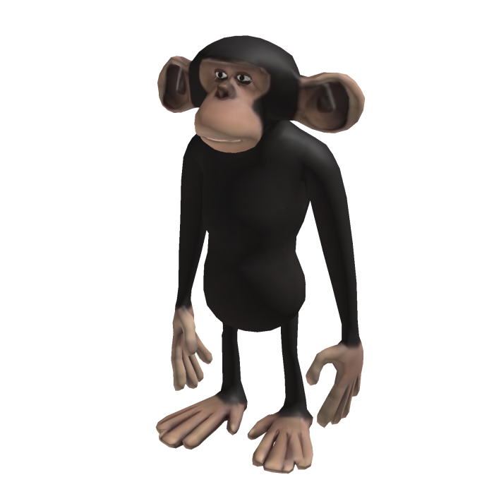 Monkey