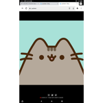 Pusheen <3 Group