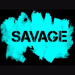 Lil savavage squad