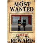 BRIAN THE PRO HACKER
