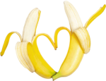 Banana kingdom/republic