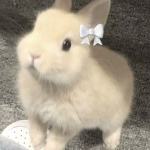 bwnnies <3