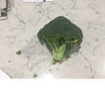 NEVER EAT broccoli
