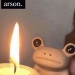 Frogs Ribbit