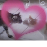 christina’s roblox group <3