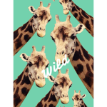 The_cools07