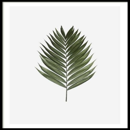 Green Aesthetic Roblox decal