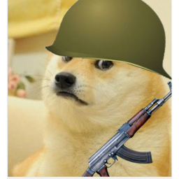[V2] Day of The Doges