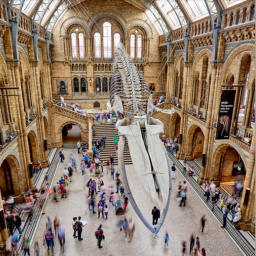 BREAK INTO A MUSEUM AND BREAK THE STUFF