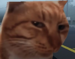 Aghuel