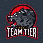 Team TieR