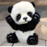 The panda games