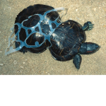 #Do not litter please!
