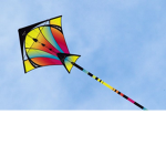 Team Kite