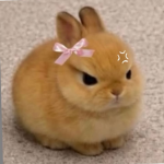 SlayCapybaraStudios