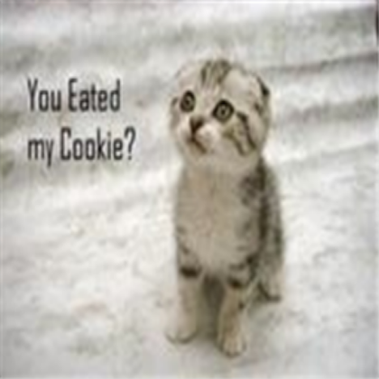 Cute kitten named Cookie Roblox decal