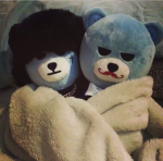 -VIPIES-