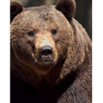 Hii hi hi I’m ely