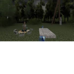 the woods